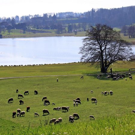 Im Roeseligarten Wolfhausen Экстерьер фото