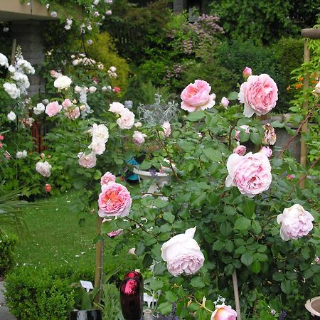 Im Roeseligarten Wolfhausen Экстерьер фото