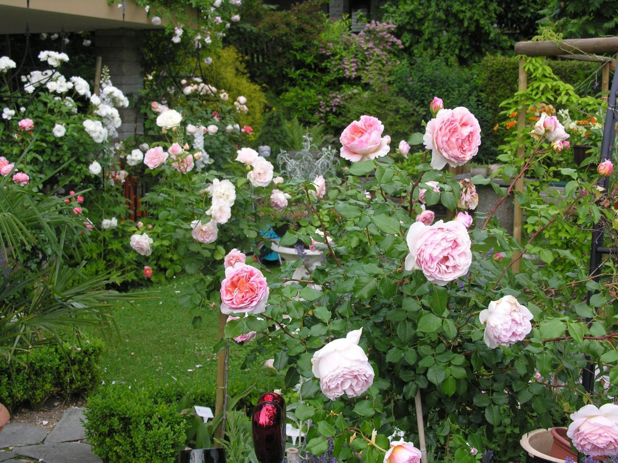 Im Roeseligarten Wolfhausen Экстерьер фото